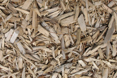 biomass boilers Treween